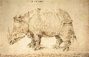 Albrecht Durer, Rhinoceros